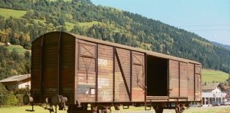 Tipologie di carri merce 885 0 Carro Merci